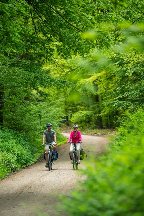 Ein Paar ist auf dem Mönchsweg unterwegs und fährt mit dem Rad gerade durch den Wald bei Mönkloh.