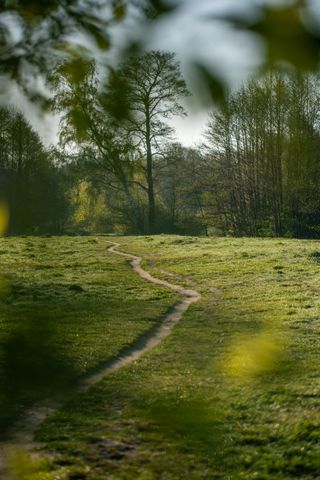 Blick durch Blätter auf einen idyllischen Weg durch die grüne Natur im Regionalpark Wedeler Au.