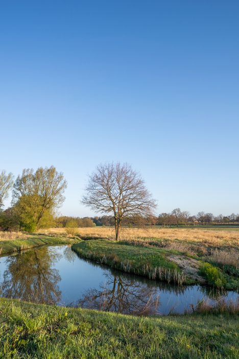 Blick über die malerische Wedeler Au und die Auenlandschaft.