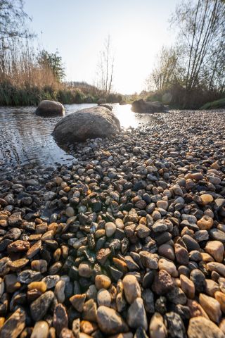 Idyllisches Plätzchen in der Natur der Wedeler Au.