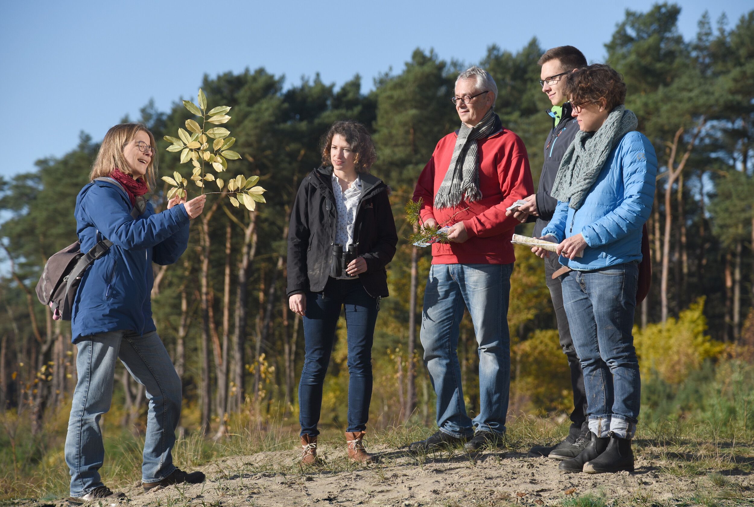 Ein Gruppe ist mit einer Naturführerin in den Holmer Sandbergen unterwegs.