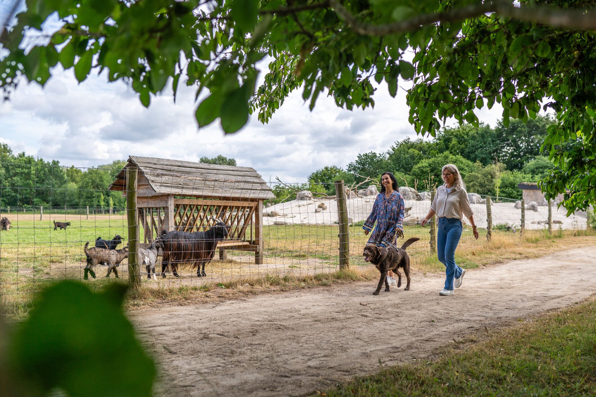 Zwei Freundinnen gehen mit dem Hund auf dem Land spazieren. 