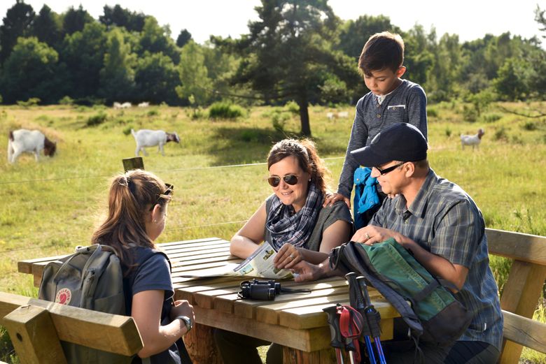 Familie erkundet auf einer Wanderung die Nordoer Heide. Kreis Steinburg