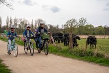 Eine Mutter ist mit ihren Kindern auf einer Radtour im Regionalpark Wedeler Au unterwegs. Am Wegesrand stehen Galloway Rinder.