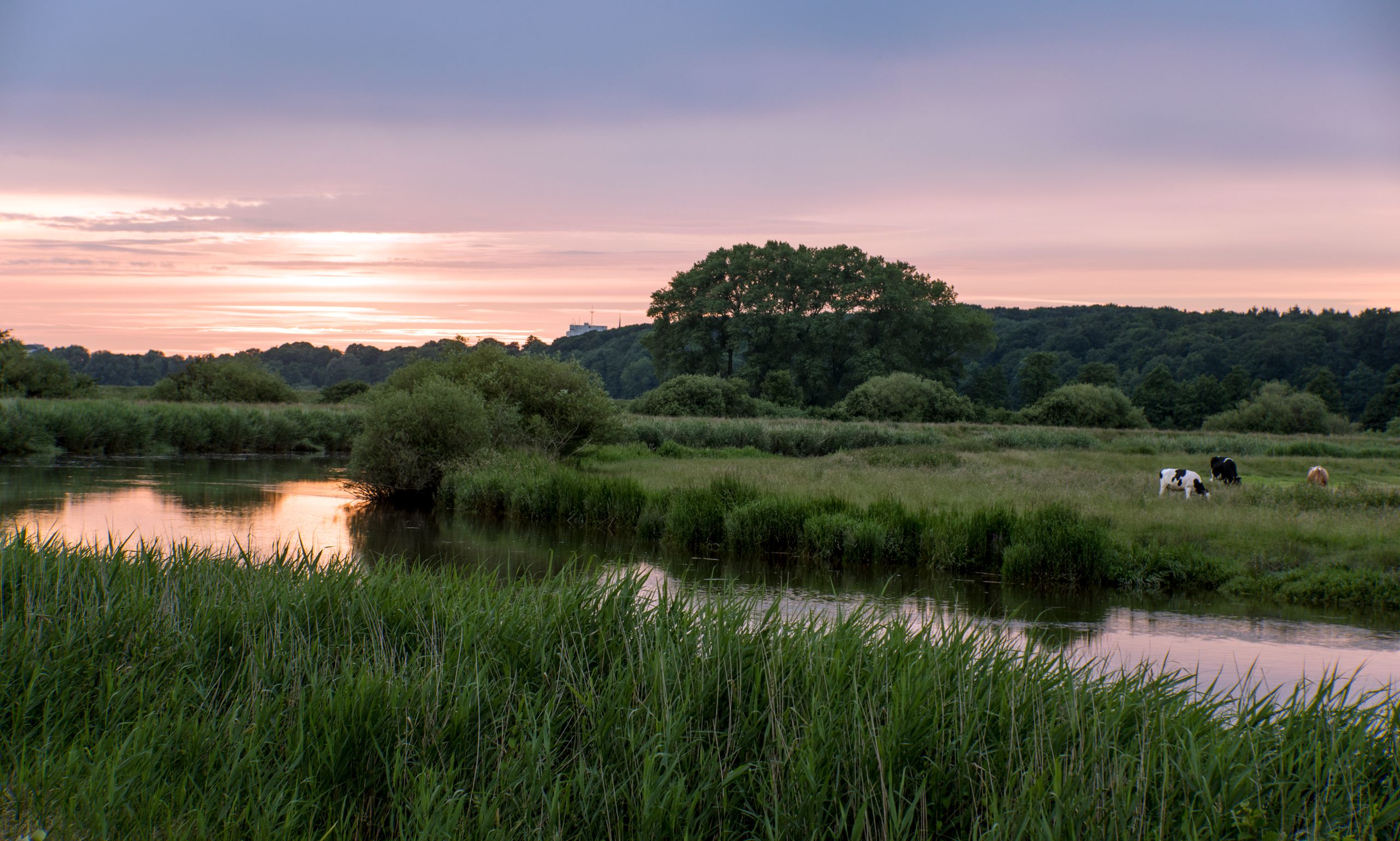 Flusslandschaft Stör bei Sonnenuntergang