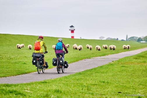 Paar fährt auf dem Nordseeküsten-Radweg am Elbdeich entlang. Im Hintergrund sind ein rotweißer Leuchtturm und Schafe zu sehen.