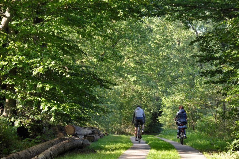 Paar fährt mit dem Fahrrad durch den Naturpark Aukrug