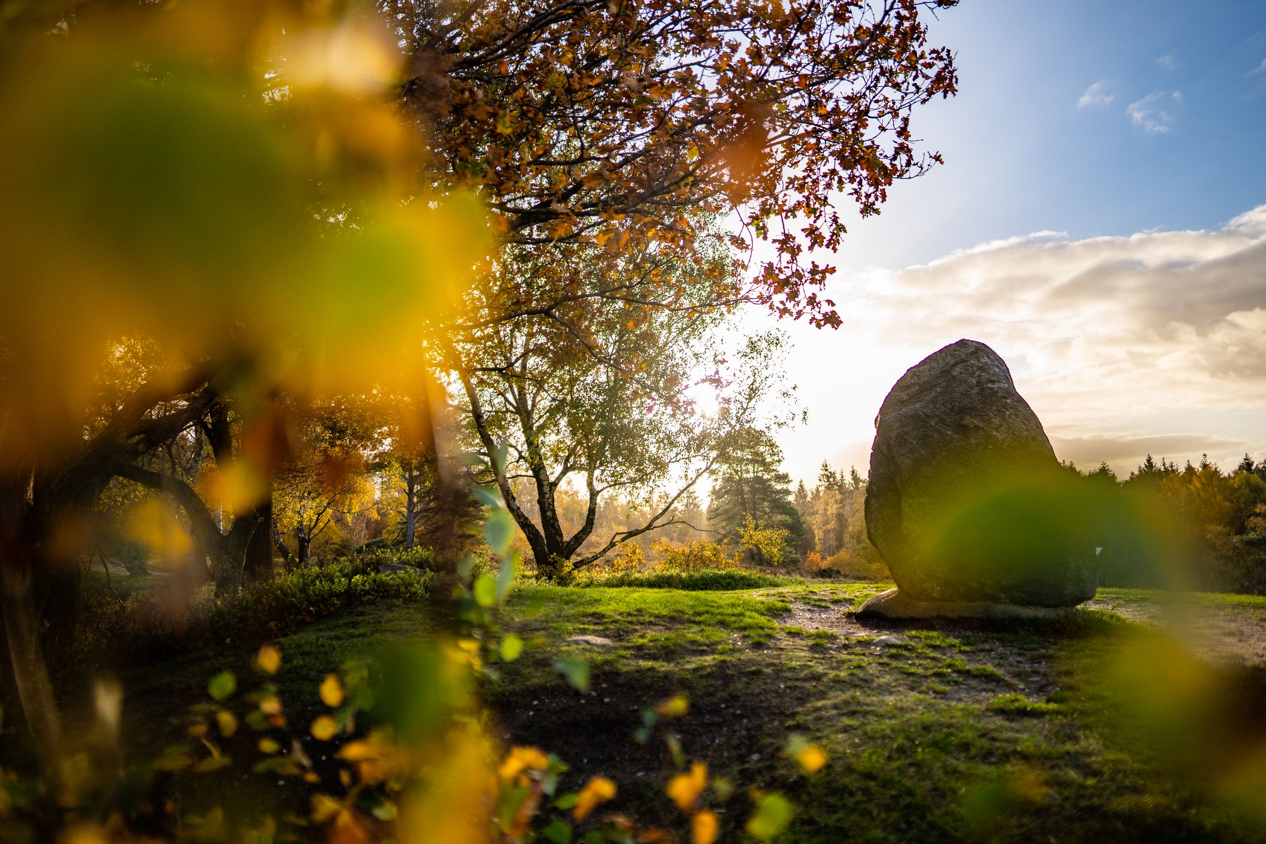 Höchster Punkt auf dem Boxberg im Naturpark Aukrug zur Herbstzeit.