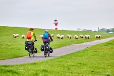 Paar fährt auf dem Nordseeküsten-Radweg am Elbdeich entlang. Im Hintergrund sind ein rotweißer Leuchtturm und Schafe zu sehen.