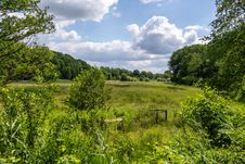 Wiese an einem schönen Sommertag. 