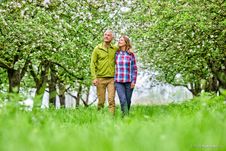 Paar spaziert durch den Haseldorfer Obstgarten