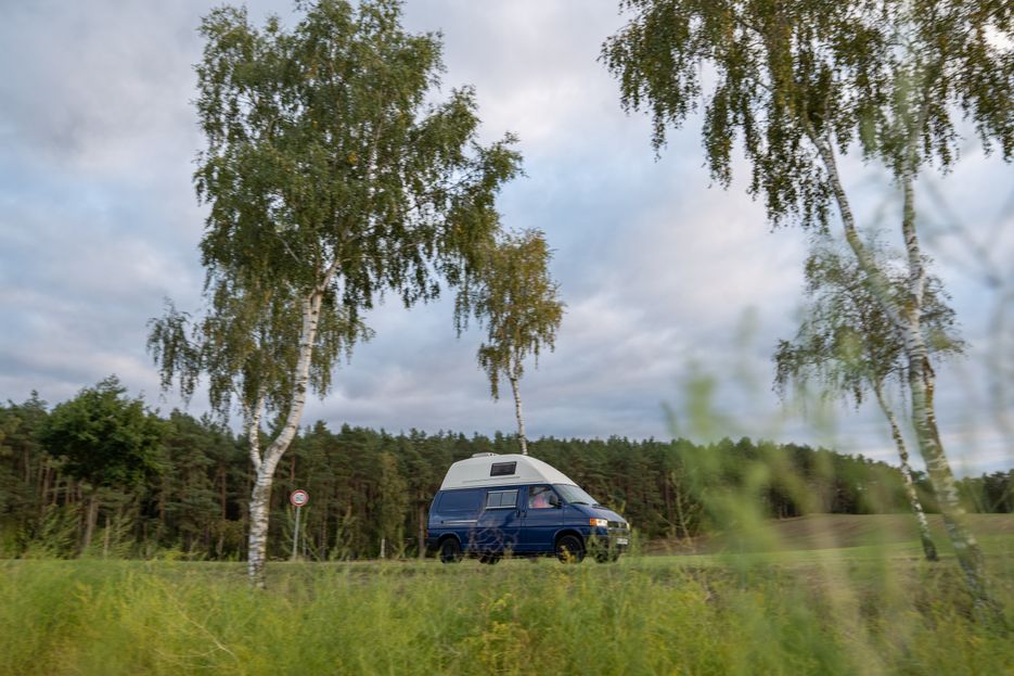 Blauer VW Bus fährt durch grüne Natur.