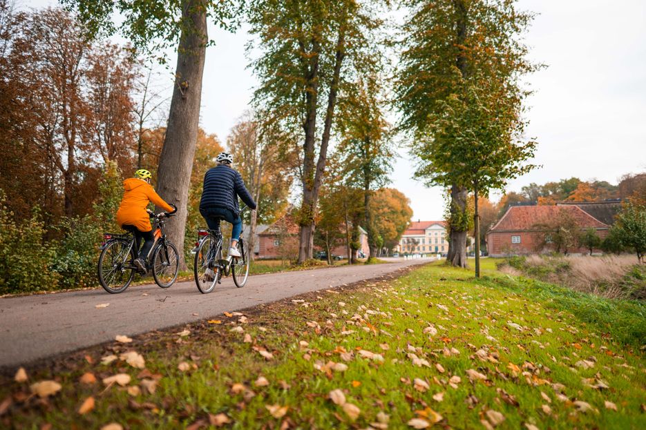 Zwei Freundinnen fahren entlang einer Baumallee in Richtung Gut Emkendorf. Herbstlaub liegt am Wegesrand.