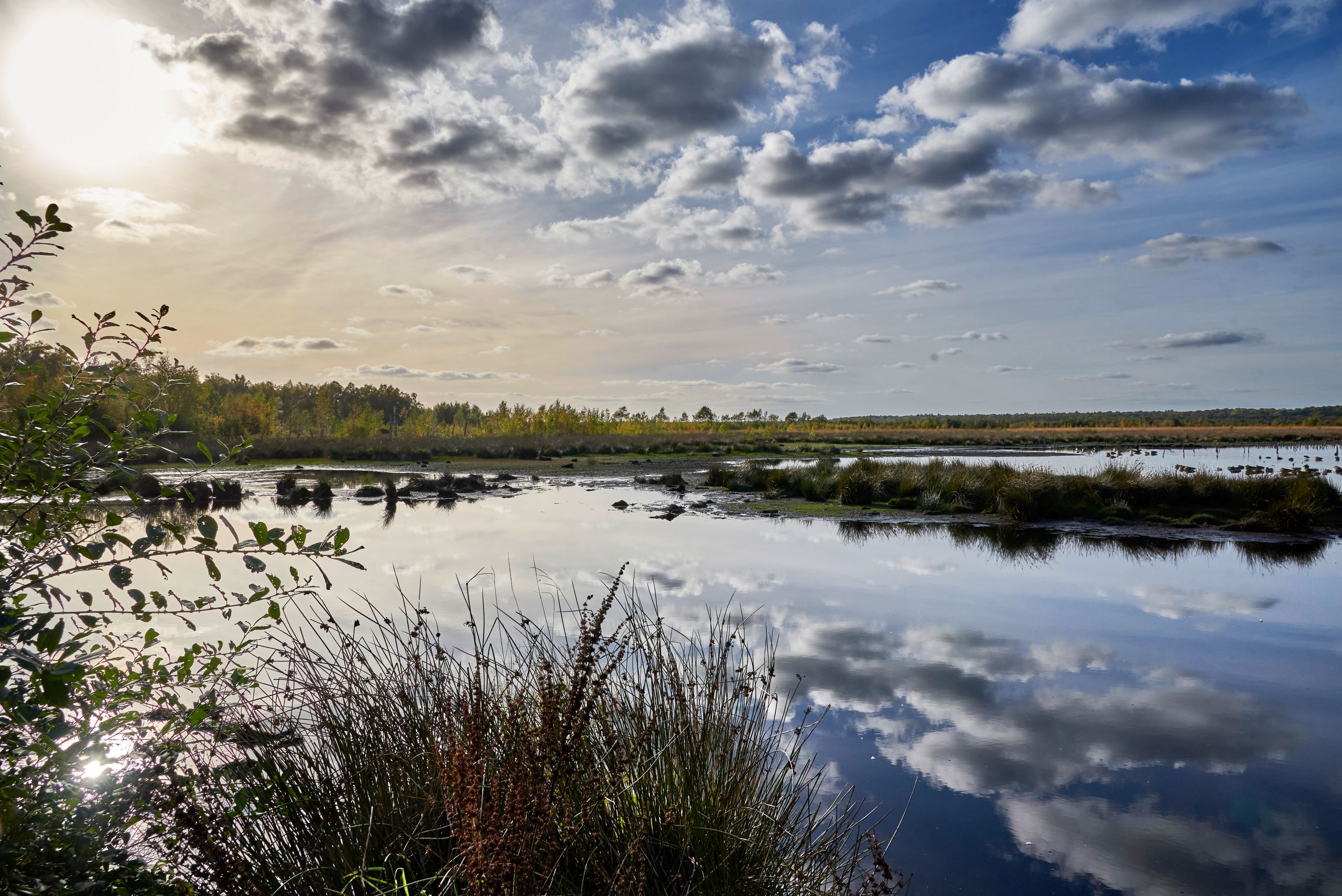 Abendliche Stimmung im Naturschutzgebiet Himmelmoor. Kreis Pinneberg