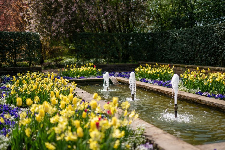 Blich auf einen Brunnen mit drei Wasserfontänen. Drum herum ein frühlingshaftes Blütenmeer.